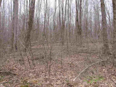 Lot #2 Butternut Road Williston VT 05495