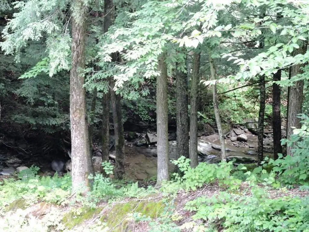 505 Weaver Road Huntington VT 05462