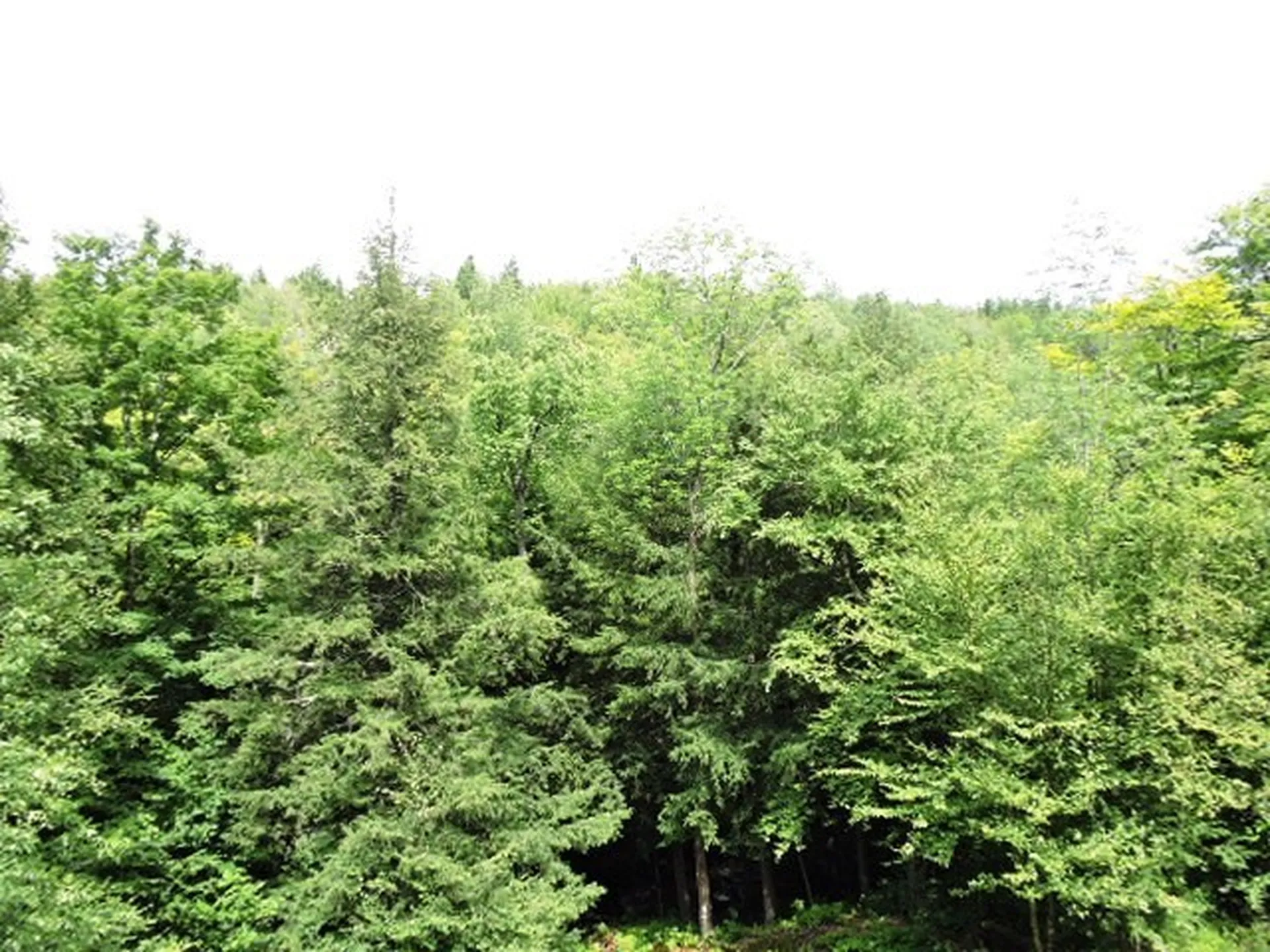 505 Weaver Road Huntington VT 05462