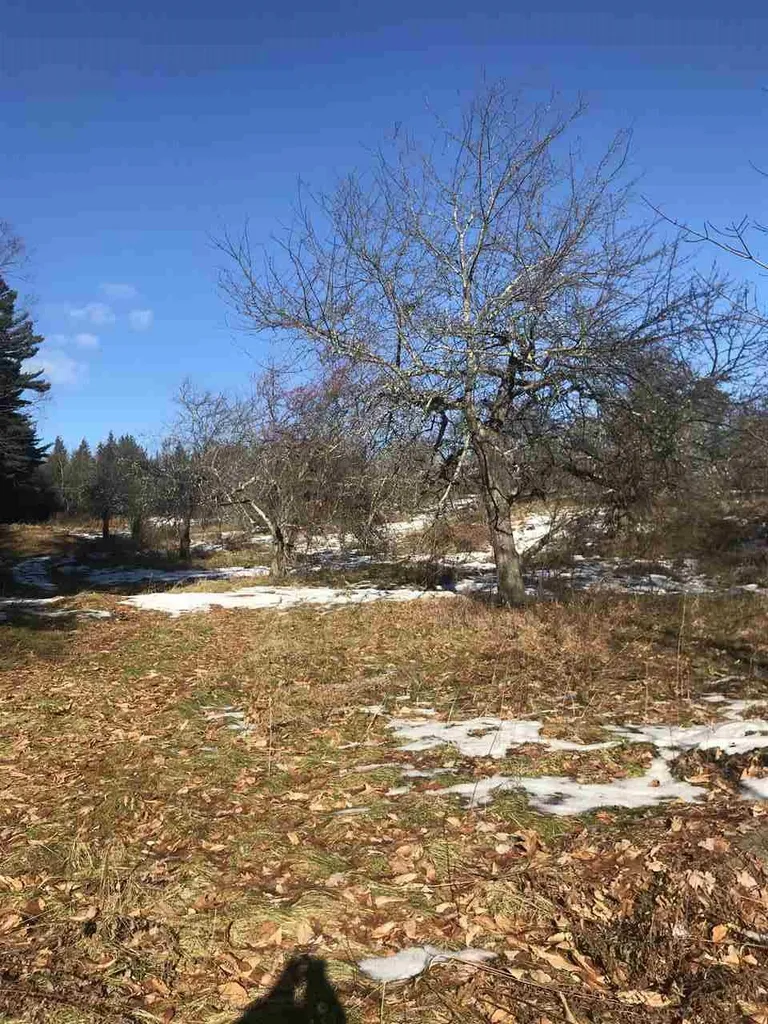 Lot 1-21-6 Purgatory Road Mont Vernon NH 03057