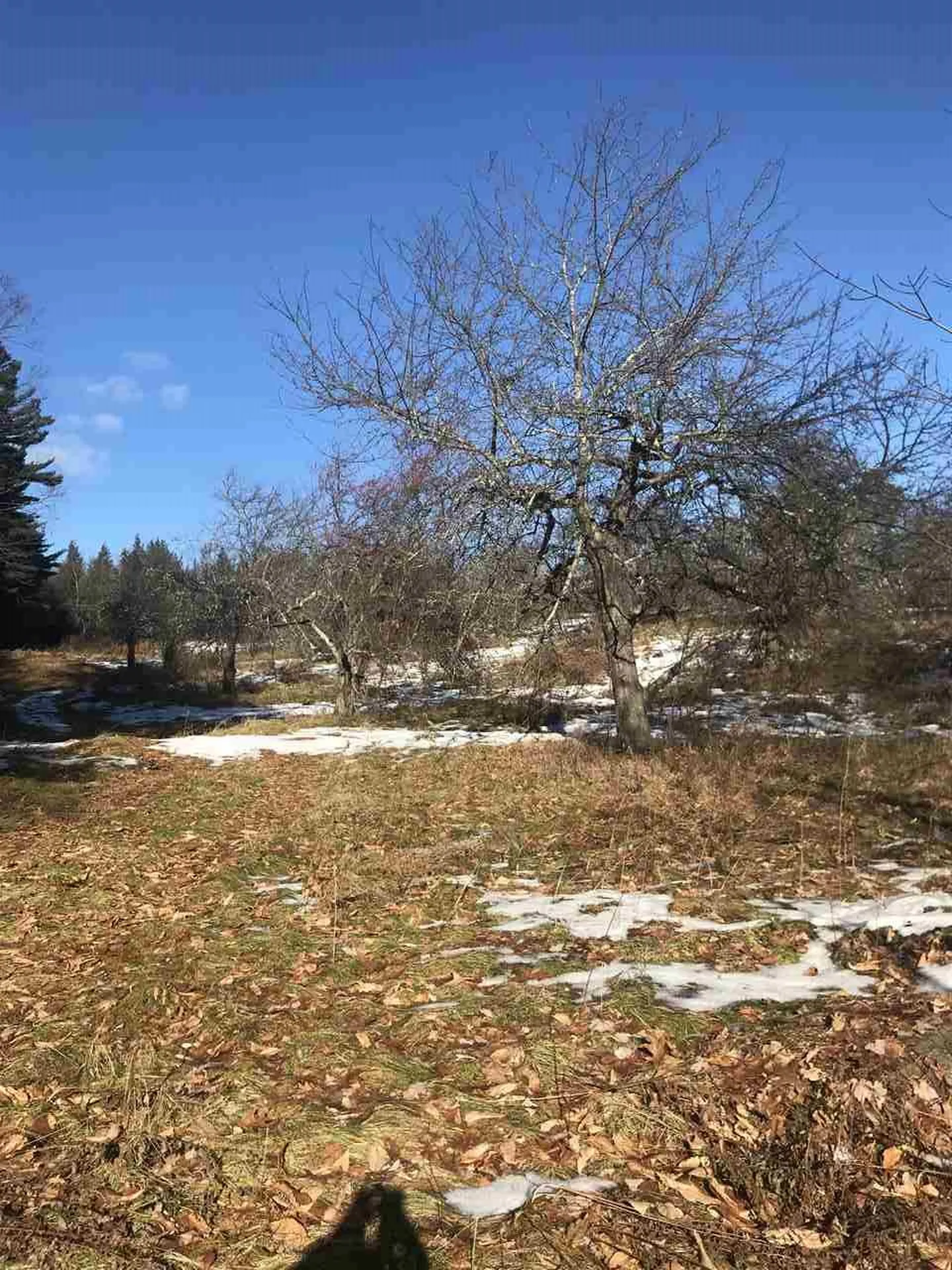 Lot 1-21-6 Purgatory Road Mont Vernon NH 03057