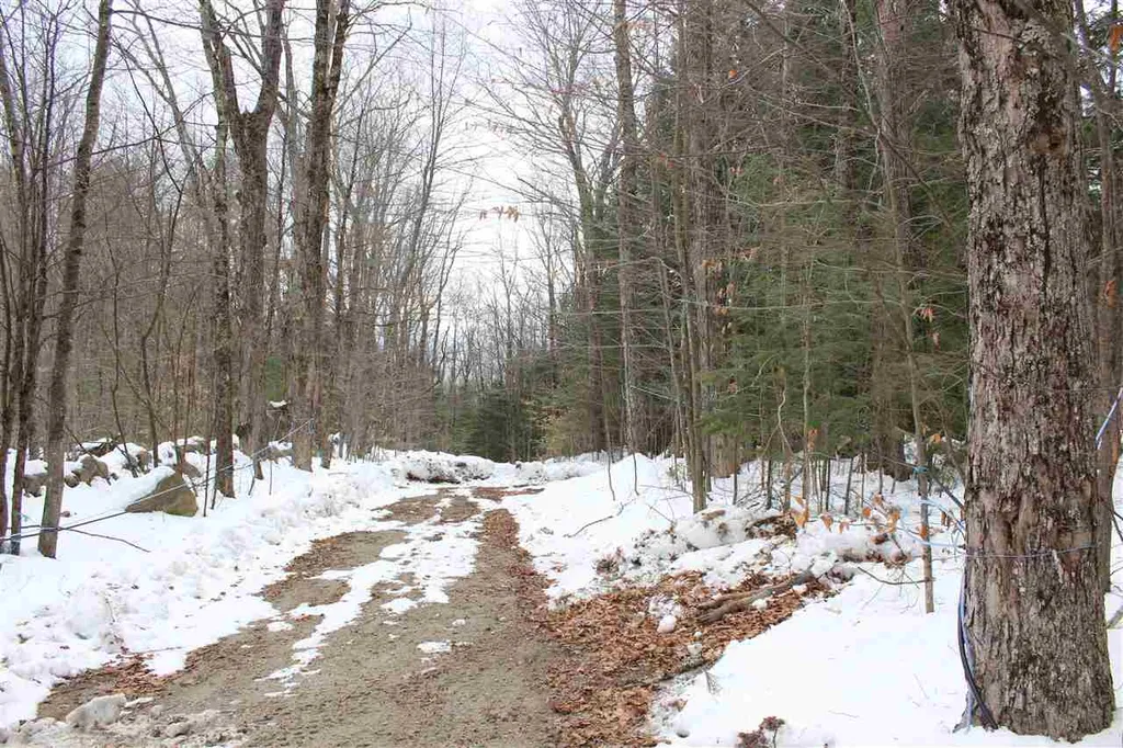 430 Old Piper Road Baltimore VT 05143