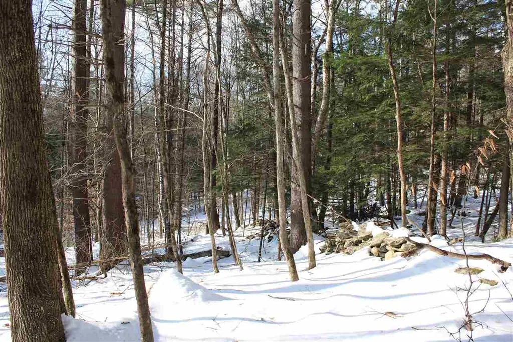430 Old Piper Road Baltimore VT 05143