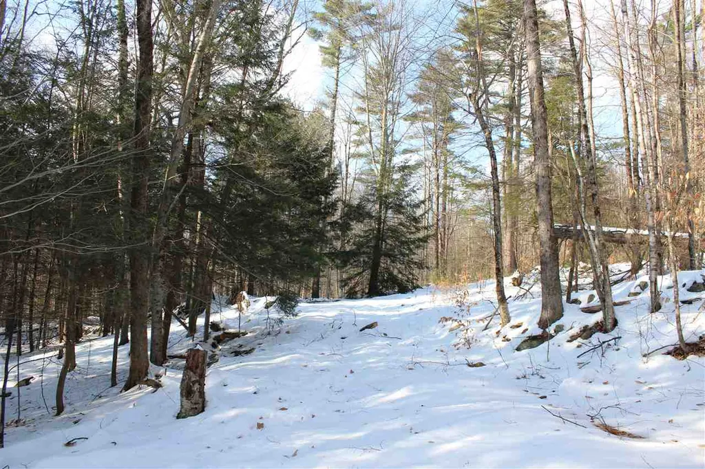 430 Old Piper Road Baltimore VT 05143