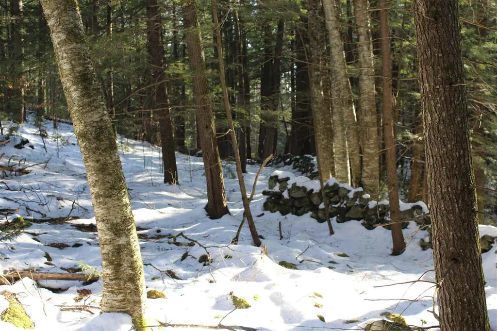 430 Old Piper Road Baltimore VT 05143