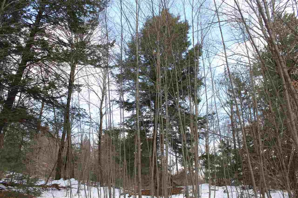 430 Old Piper Road Baltimore VT 05143