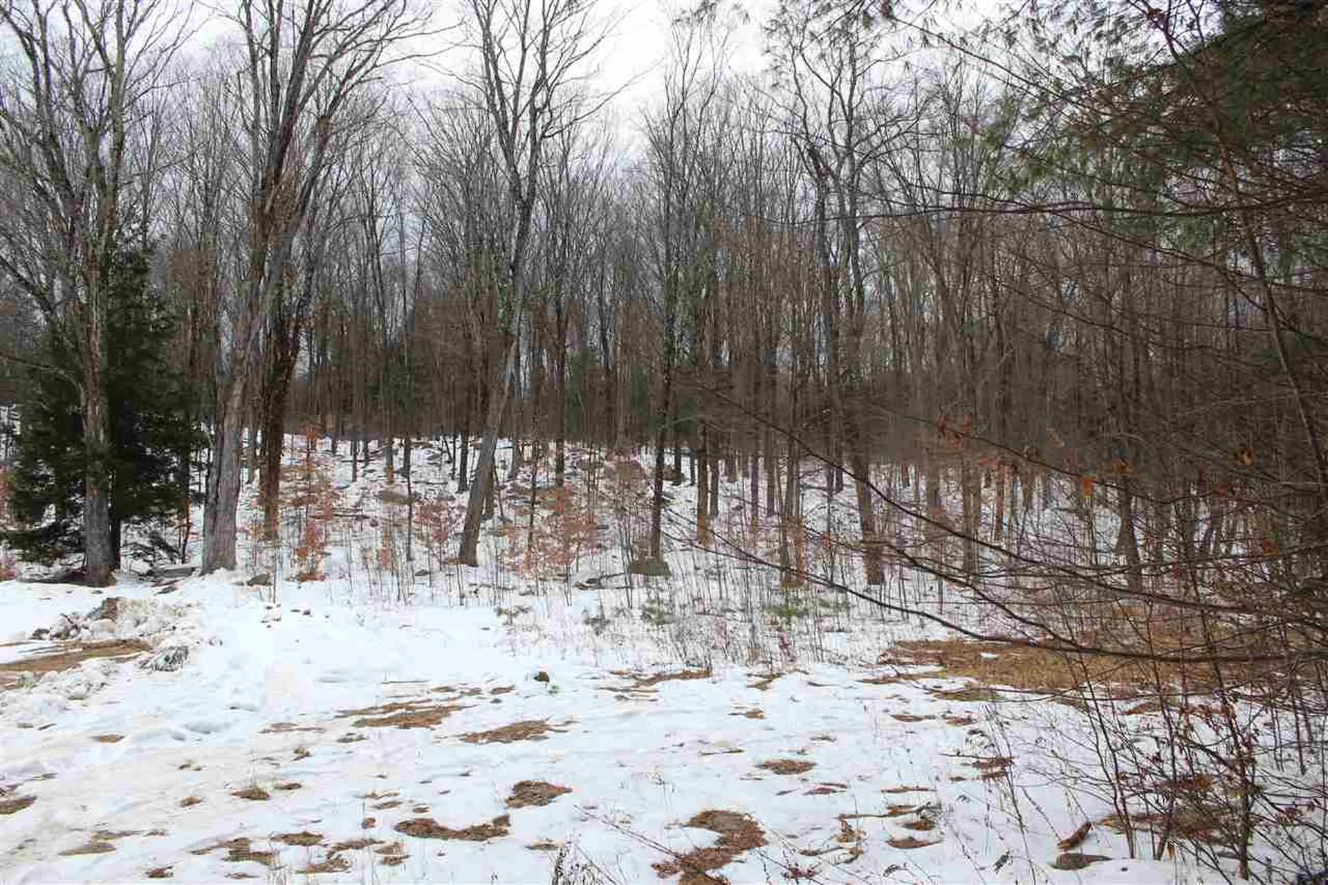430 Old Piper Road Baltimore VT 05143