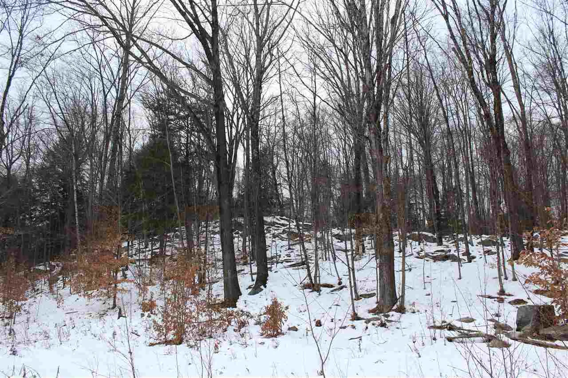 430 Old Piper Road Baltimore VT 05143
