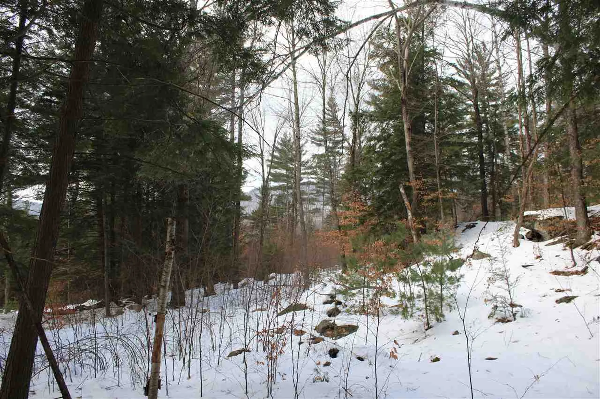 430 Old Piper Road Baltimore VT 05143
