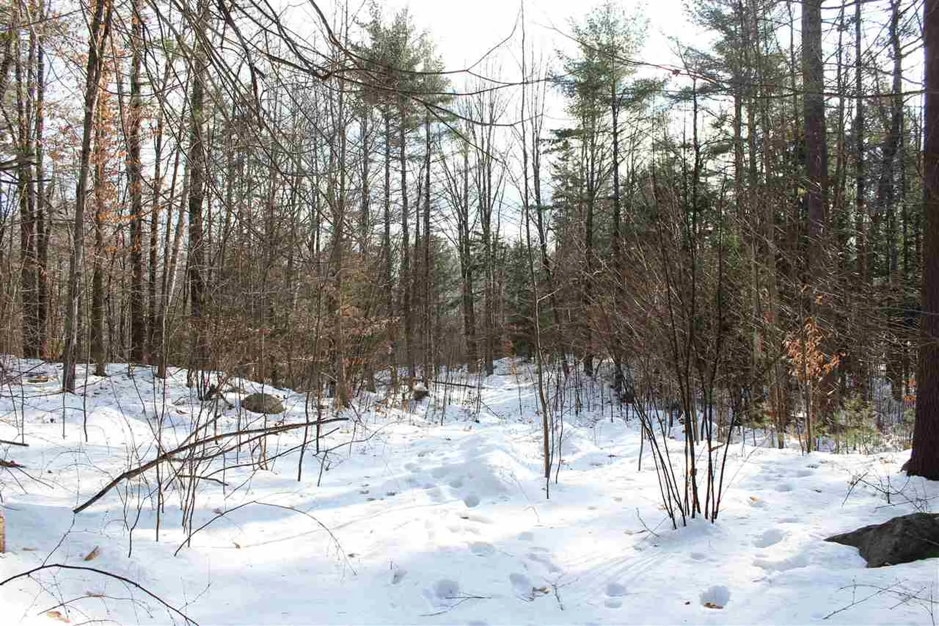 430 Old Piper Road Baltimore VT 05143