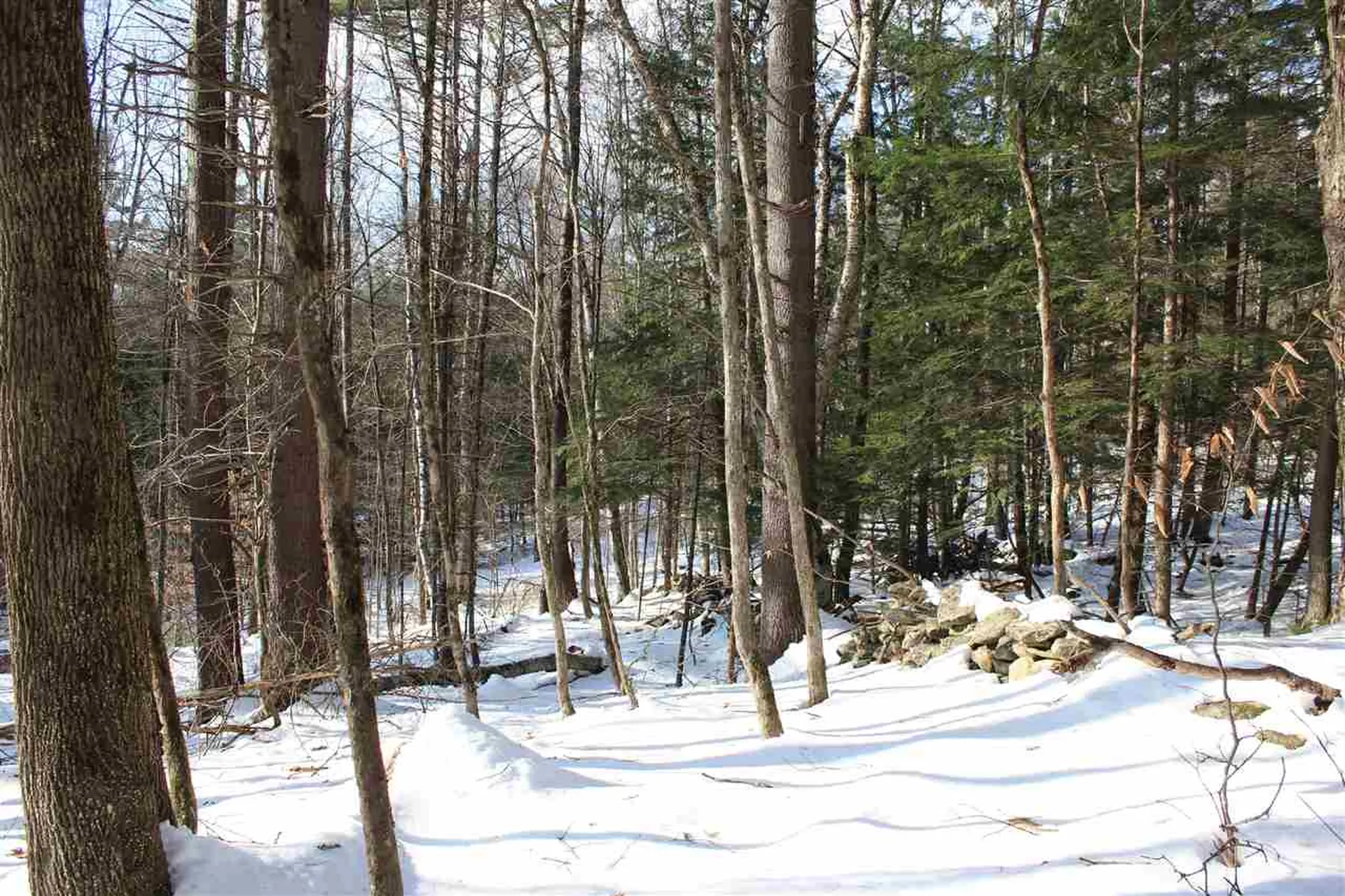 430 Old Piper Road Baltimore VT 05143
