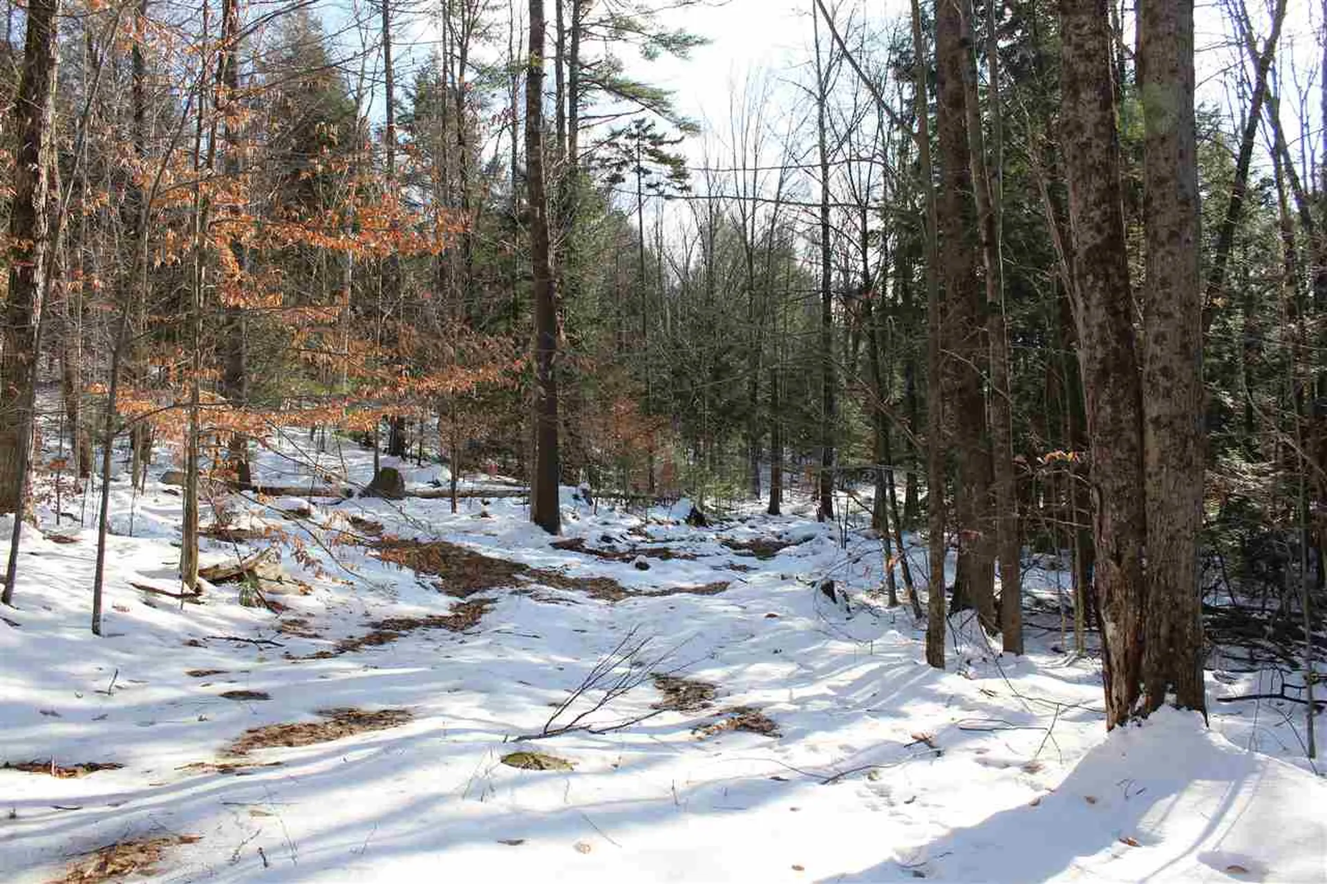 430 Old Piper Road Baltimore VT 05143