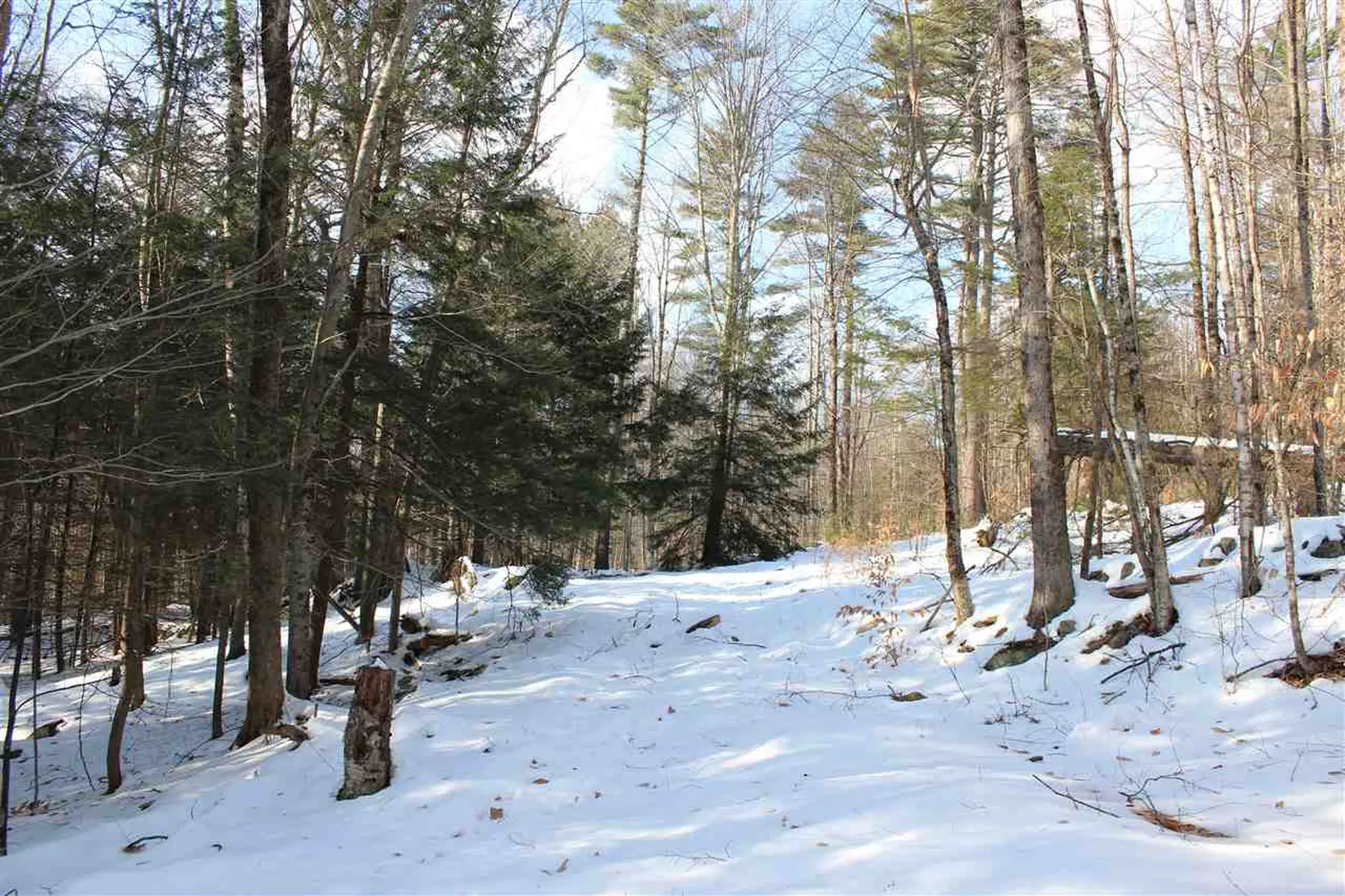 430 Old Piper Road Baltimore VT 05143