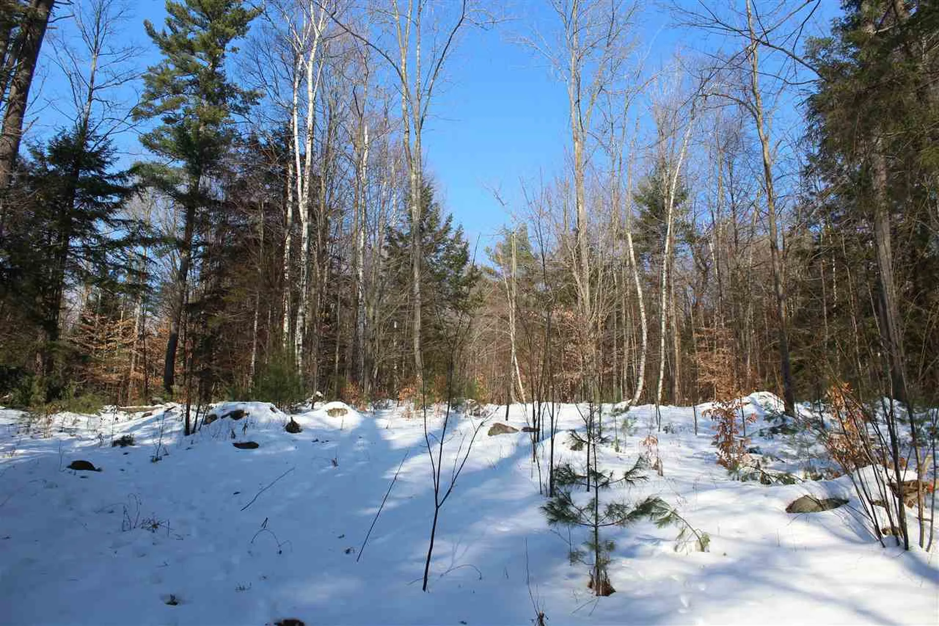 430 Old Piper Road Baltimore VT 05143