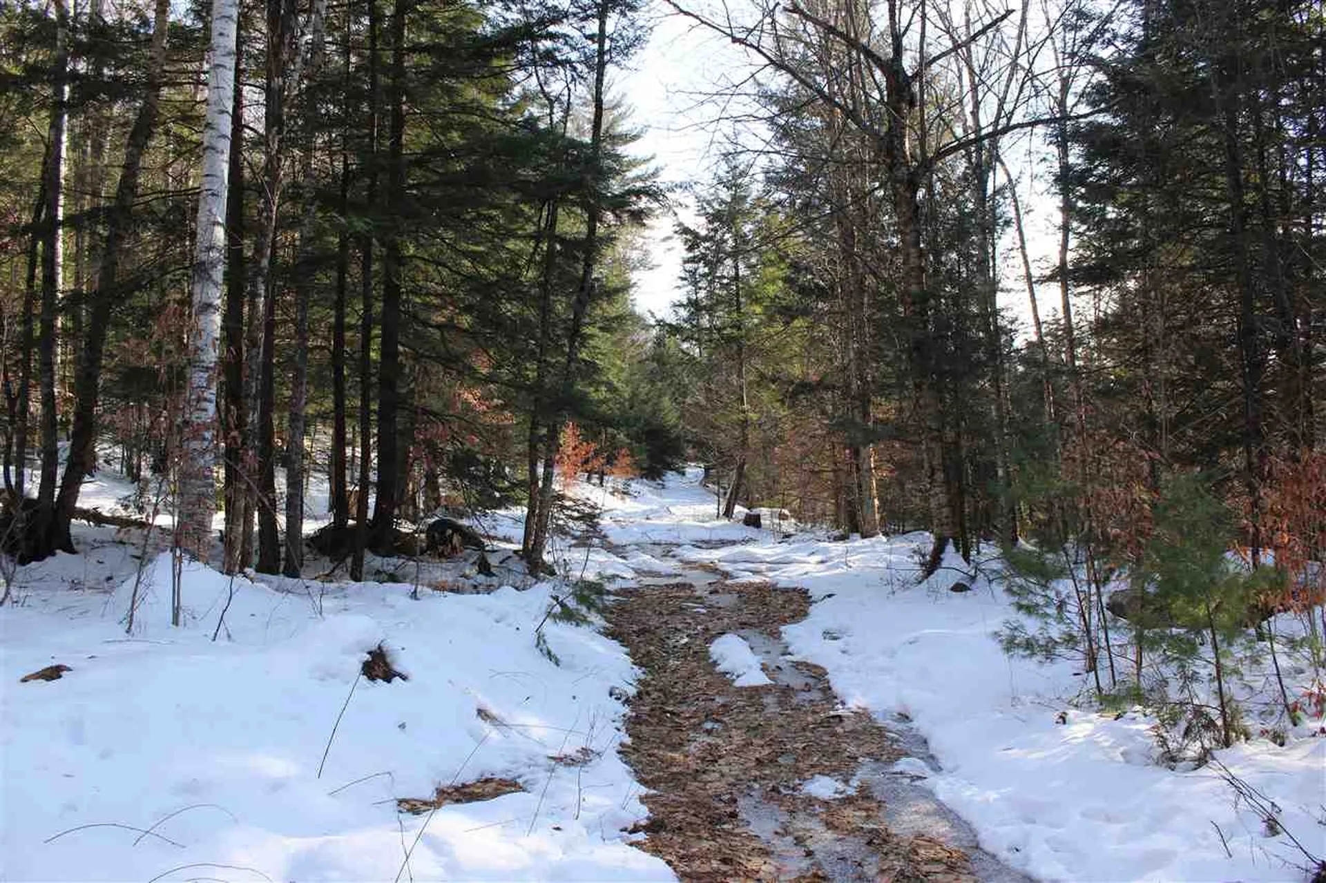 430 Old Piper Road Baltimore VT 05143