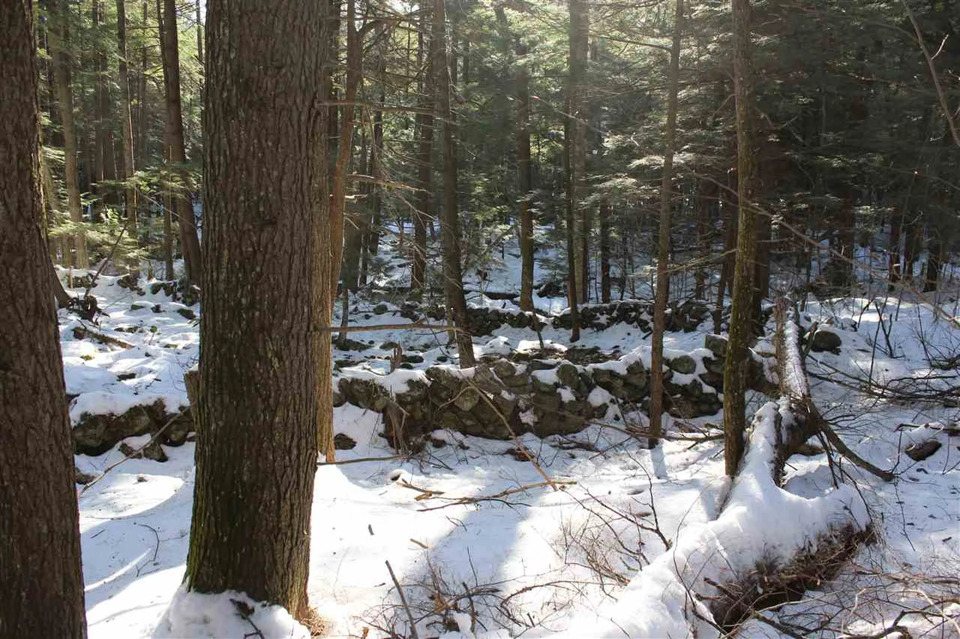430 Old Piper Road Baltimore VT 05143