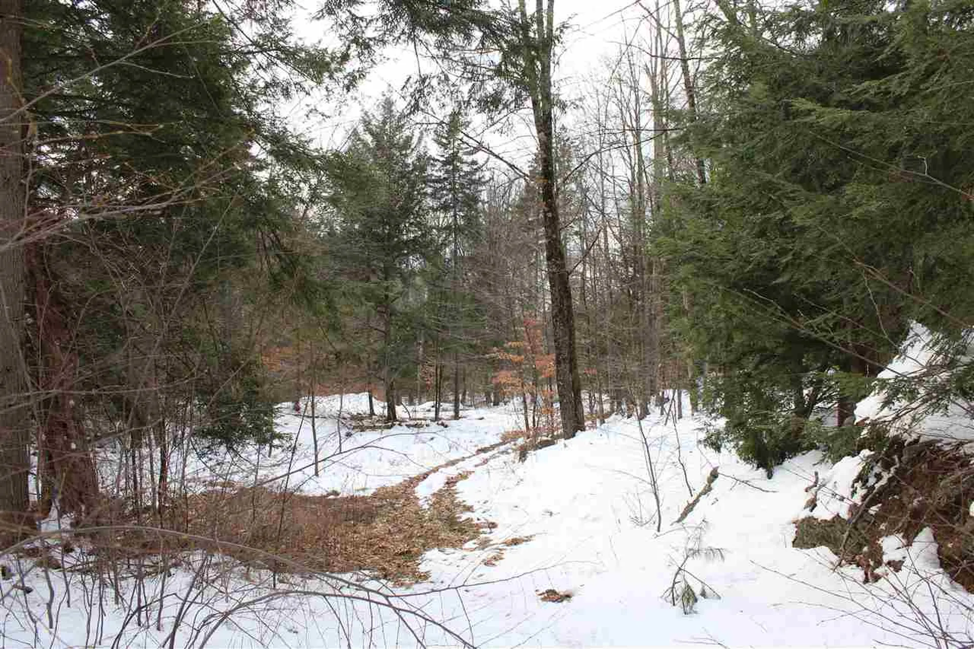 430 Old Piper Road Baltimore VT 05143