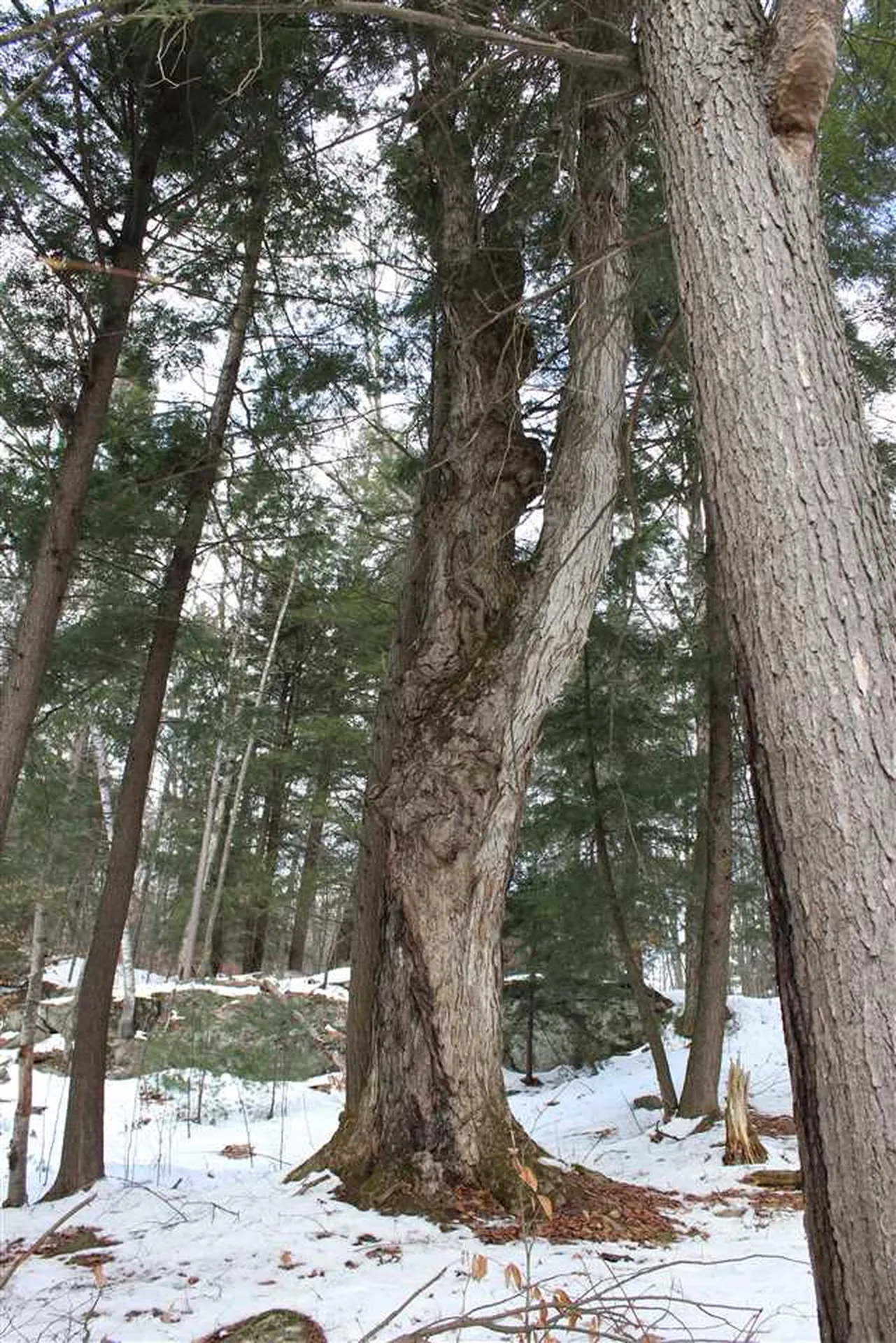 430 Old Piper Road Baltimore VT 05143