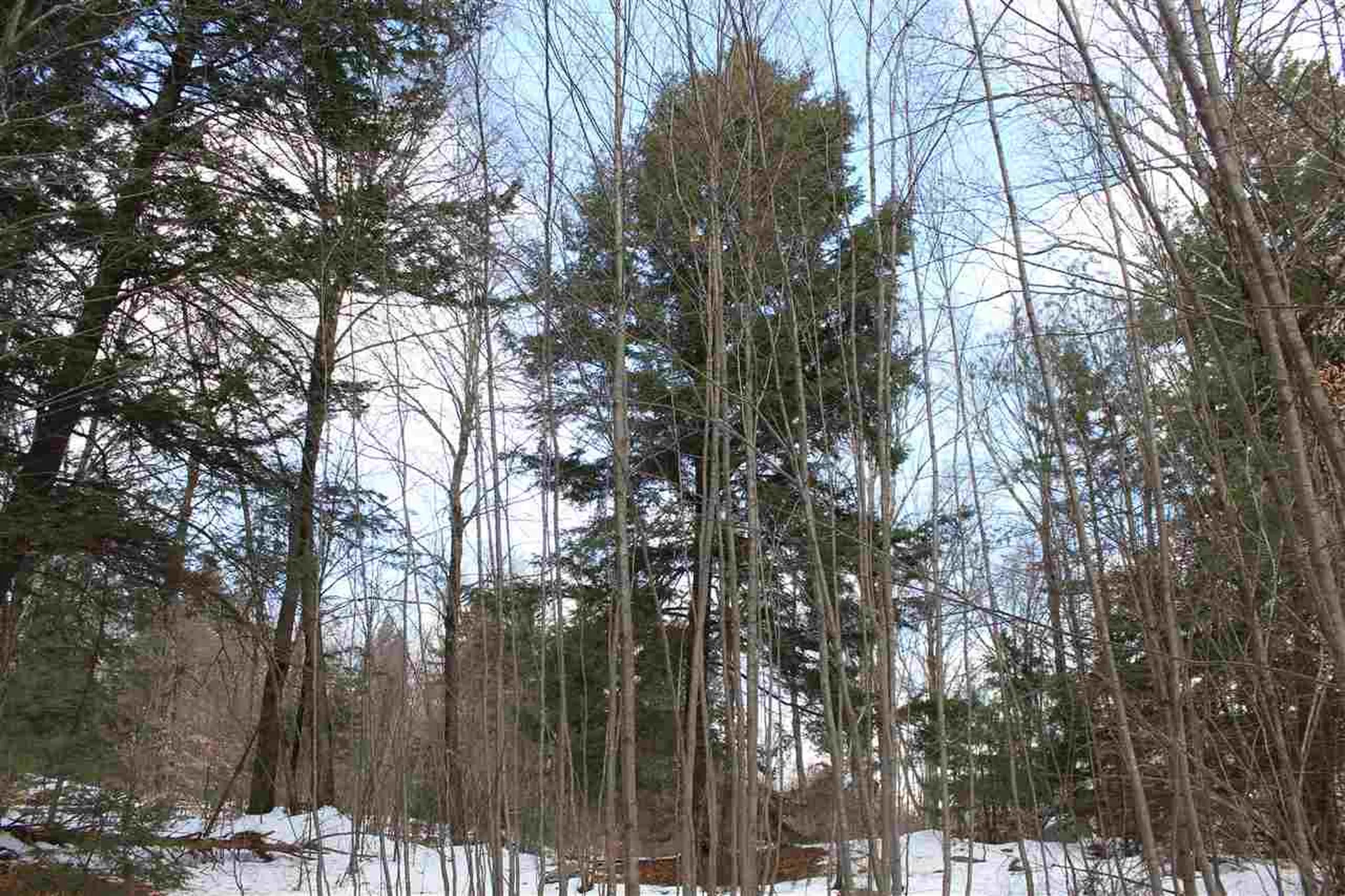 430 Old Piper Road Baltimore VT 05143