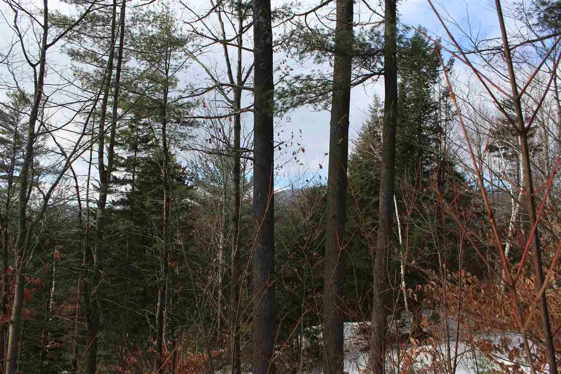 430 Old Piper Road Baltimore VT 05143