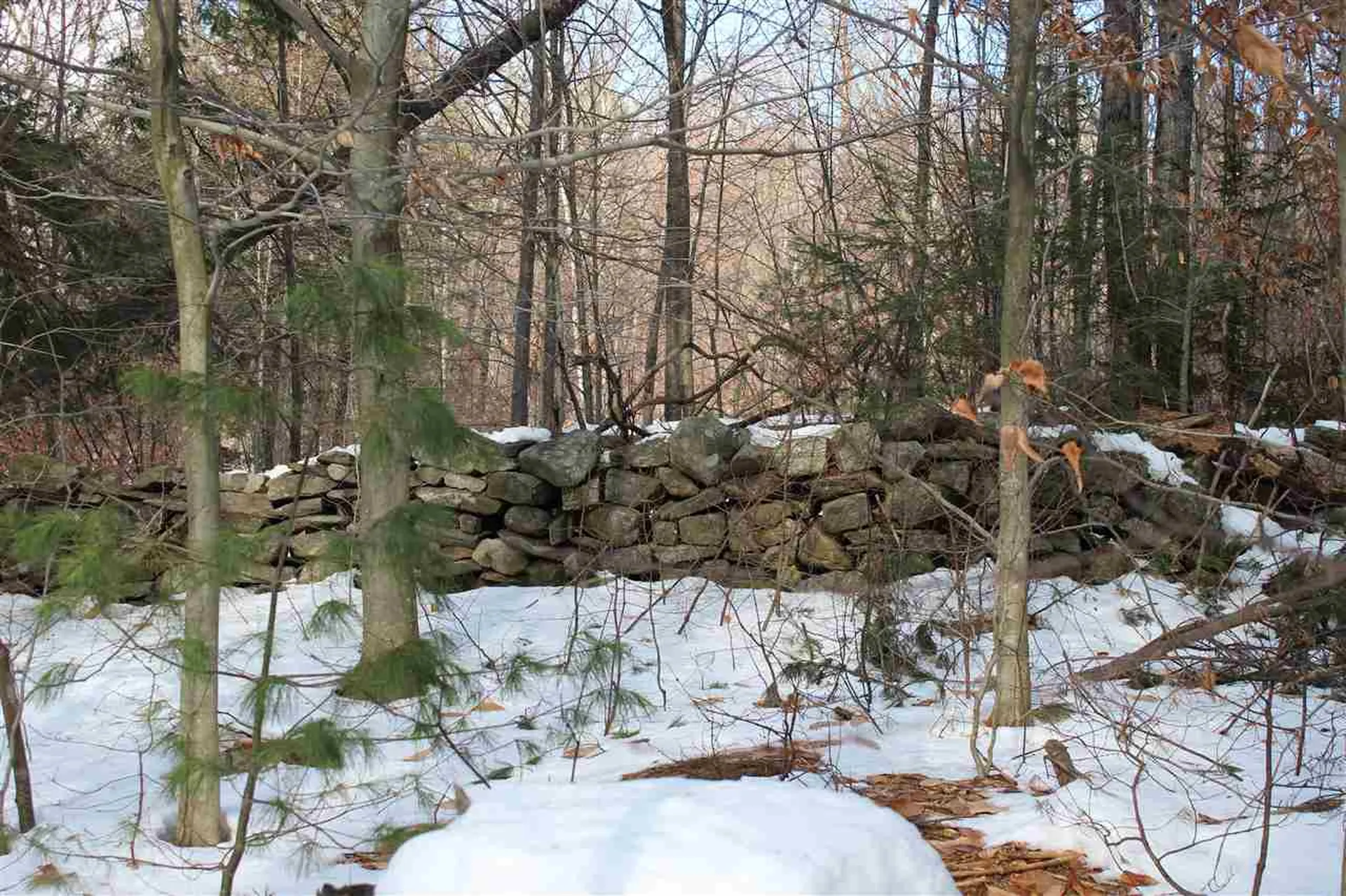 430 Old Piper Road Baltimore VT 05143