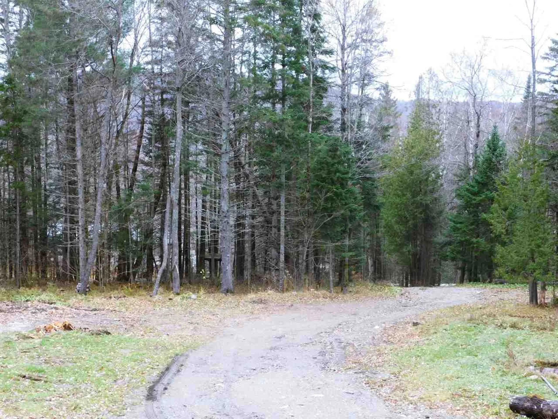 882 Toad Pond Road Morgan VT 05853