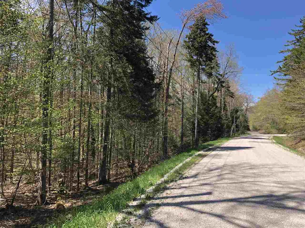 Hawk Spur Road Plymouth VT 05056