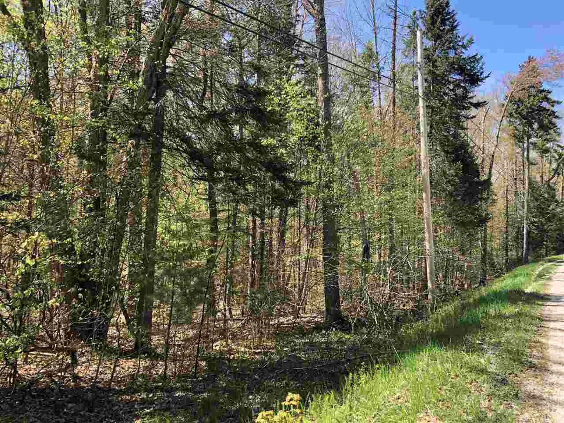 Hawk Spur Road Plymouth VT 05056