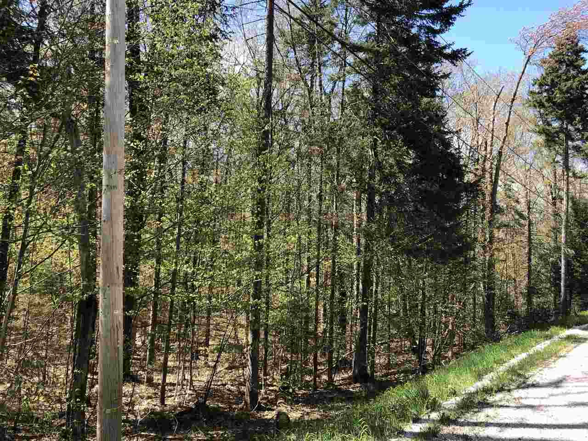 Hawk Spur Road Plymouth VT 05056