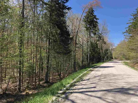 Hawk Spur Road Plymouth VT 05056