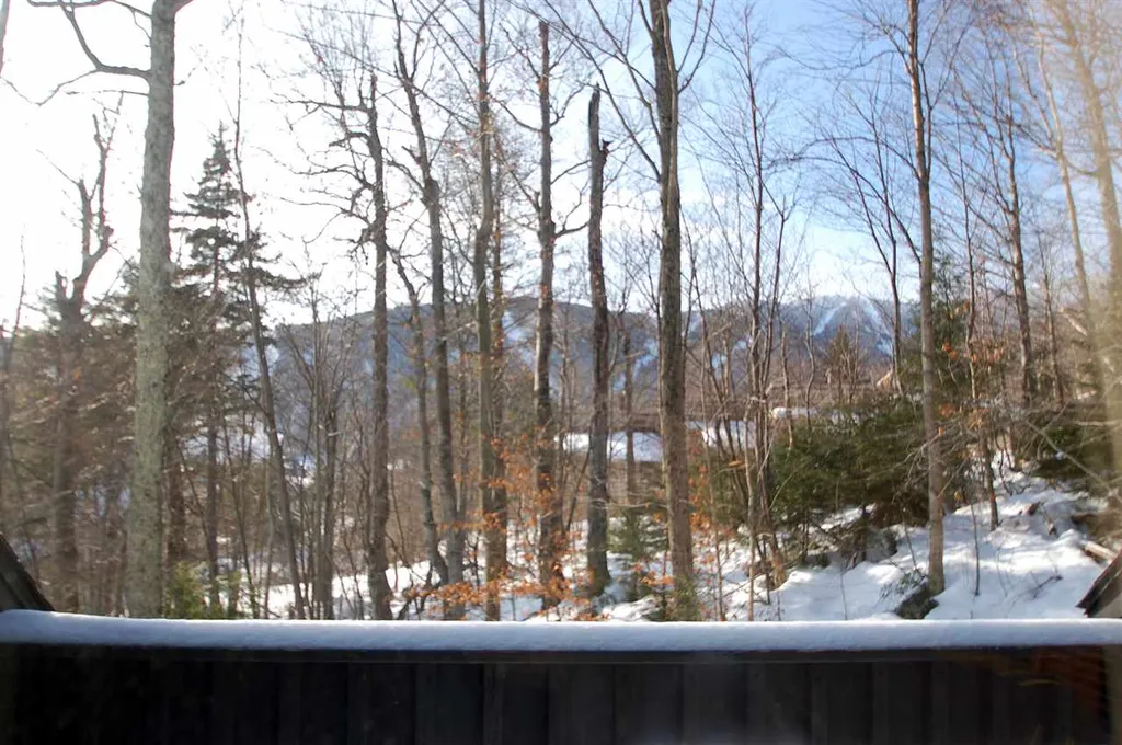 186 Castlerock Road Warren VT 05674