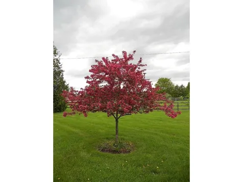 5779 Dorset Street Shelburne VT 05482