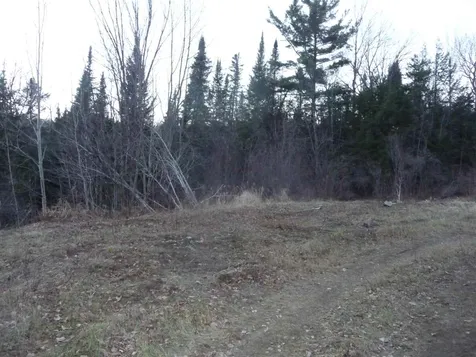 2780 Cole Hill Road Morristown VT 05661