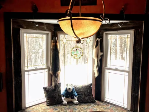 201 Tucker Road Grafton NH 03240