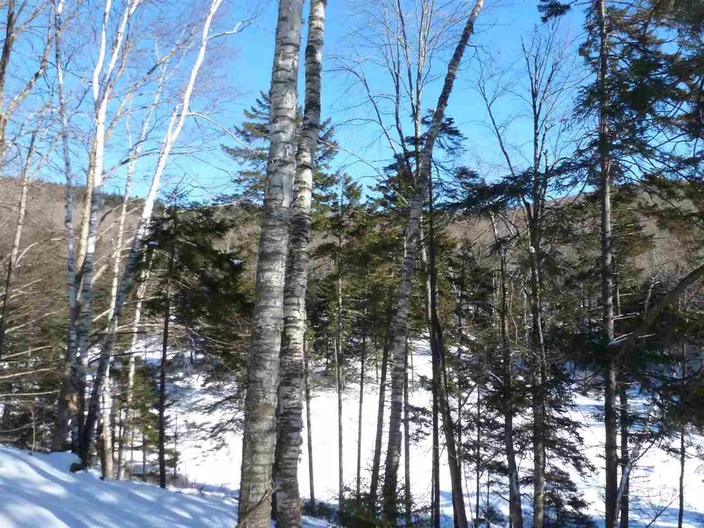 00 Two Ponds Road Warren VT 05674