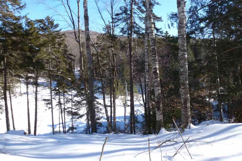 00 Two Ponds Road Warren VT 05674