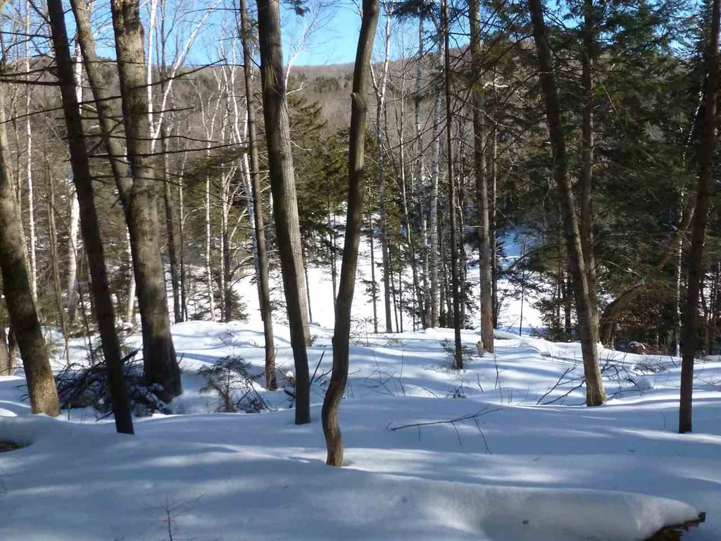 00 Two Ponds Road Warren VT 05674