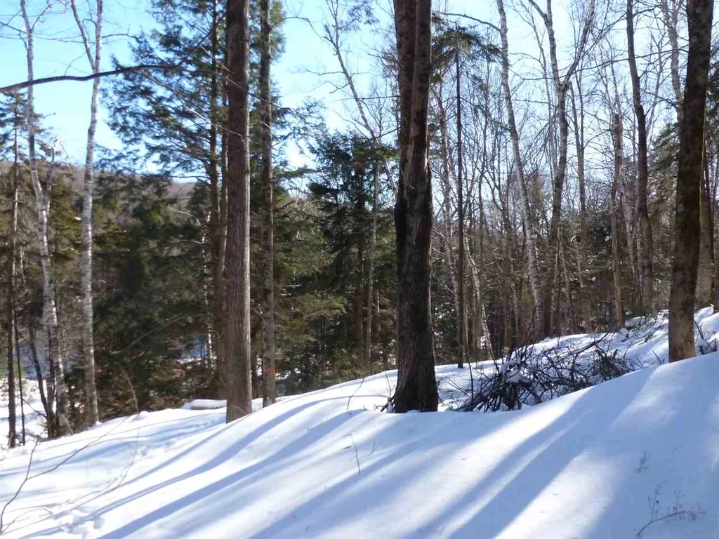 00 Two Ponds Road Warren VT 05674