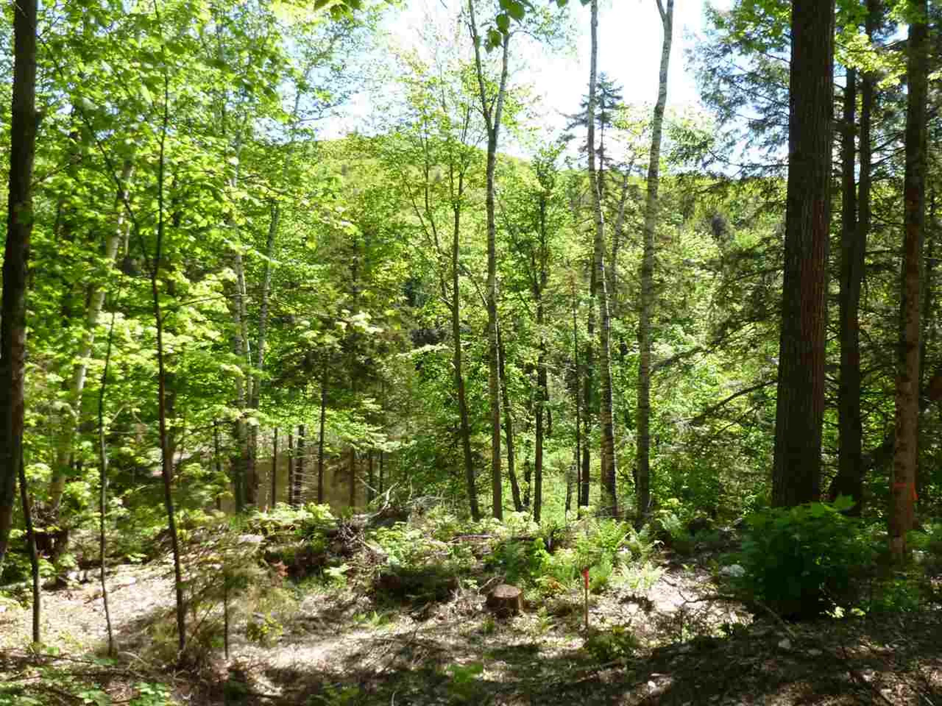 00 Two Ponds Road Warren VT 05674