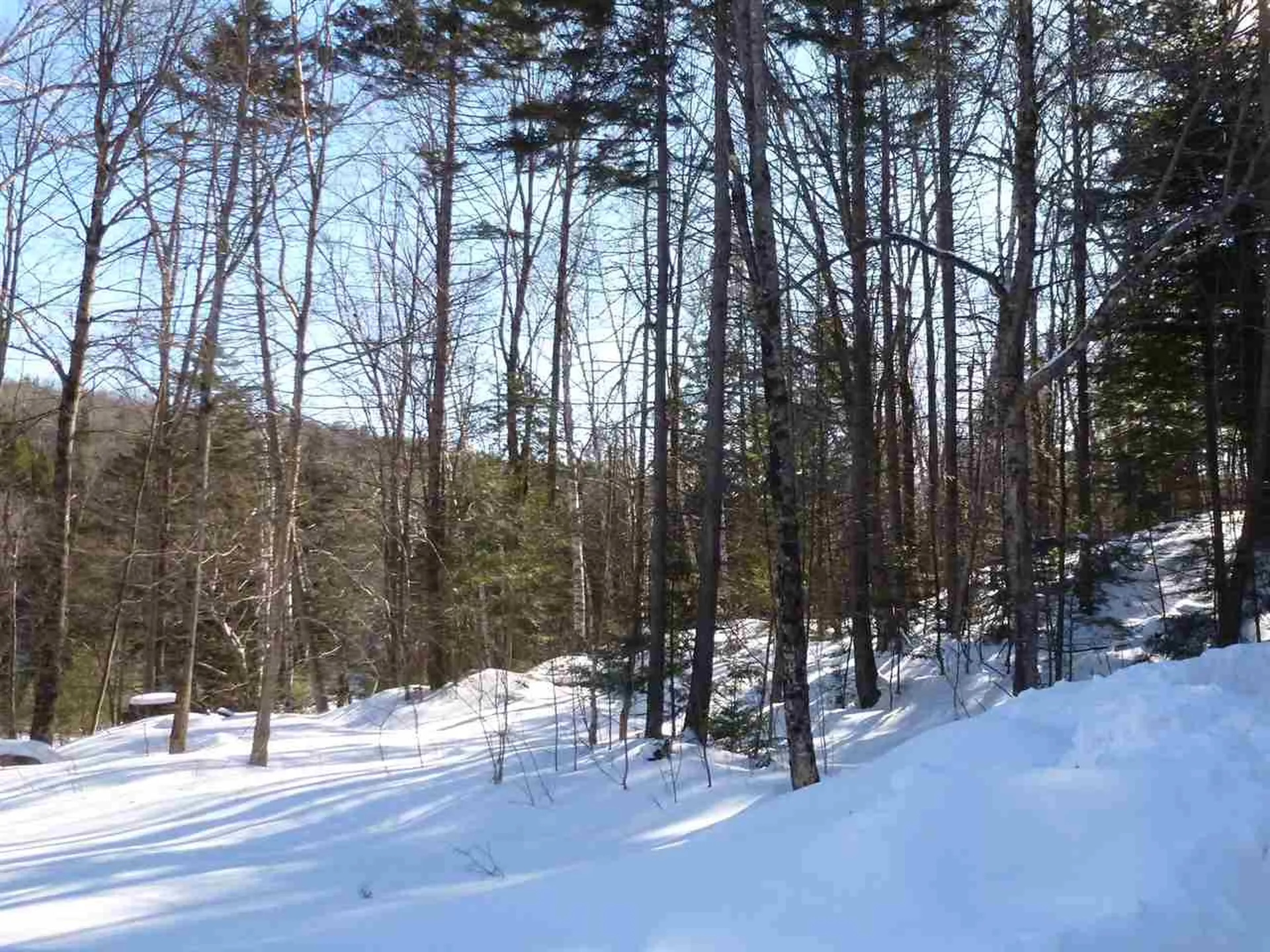 00 Two Ponds Road Warren VT 05674