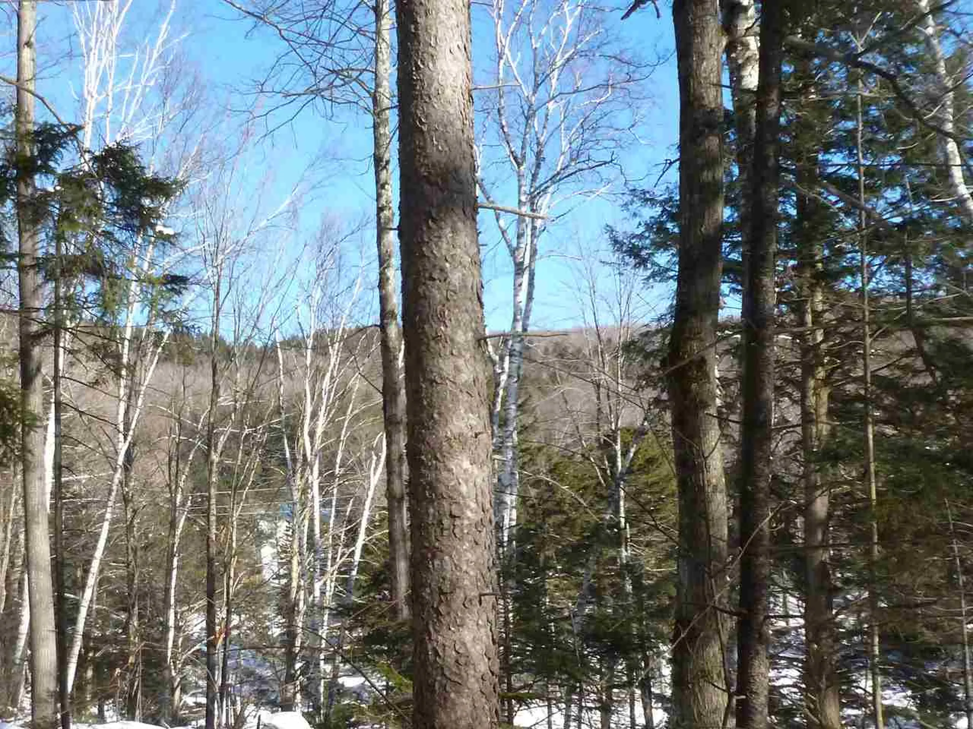 00 Two Ponds Road Warren VT 05674