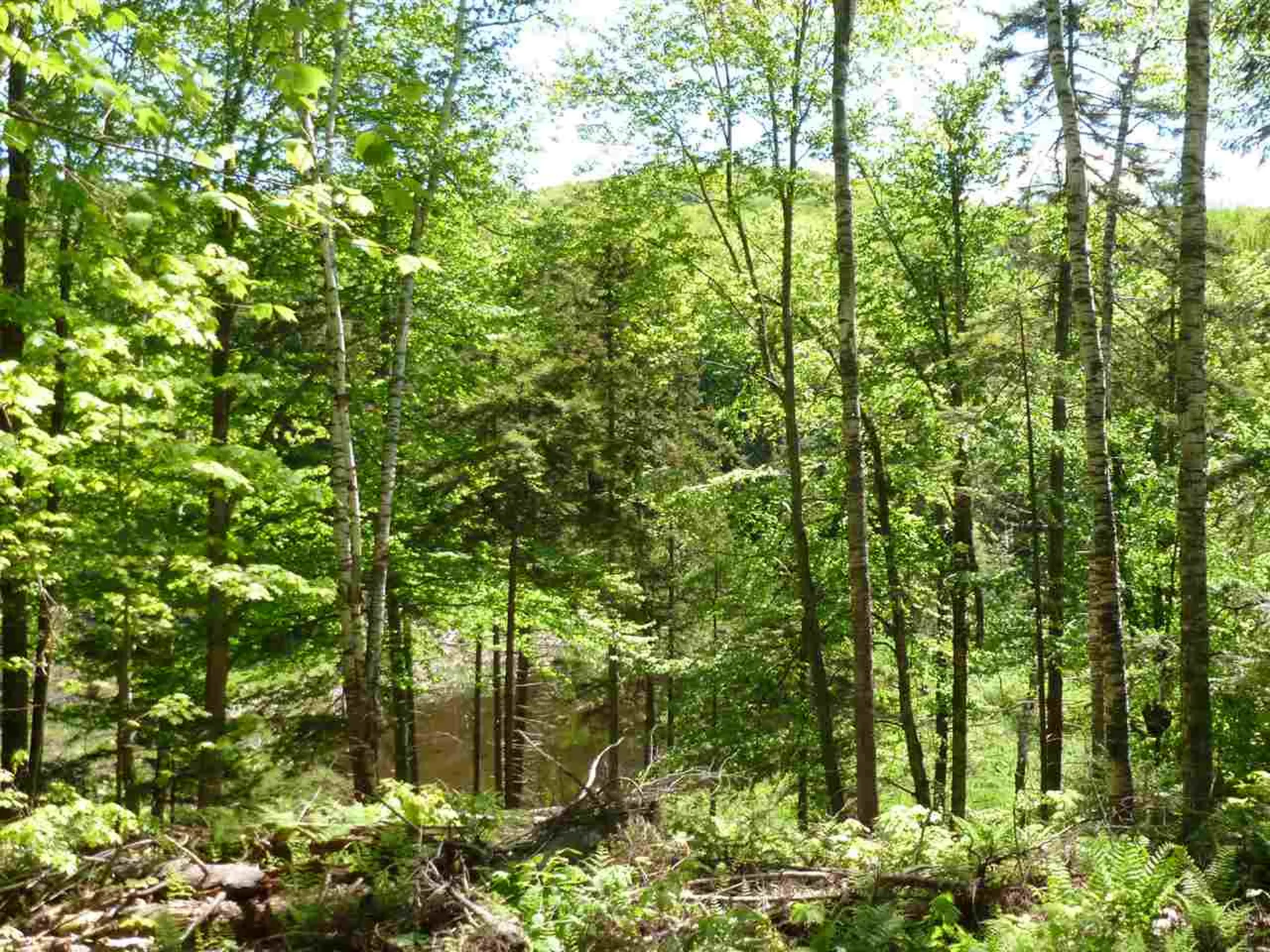 00 Two Ponds Road Warren VT 05674