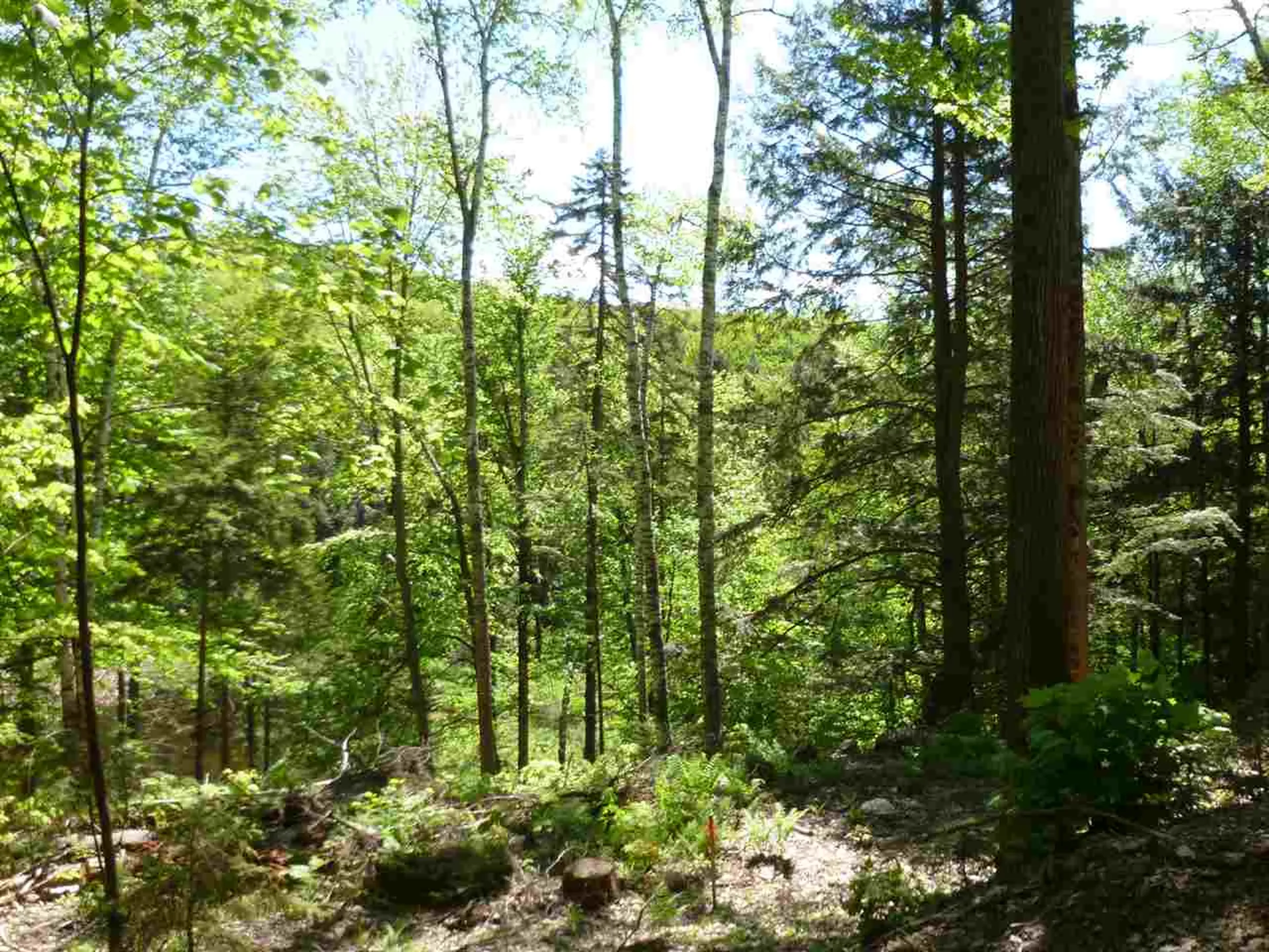 00 Two Ponds Road Warren VT 05674