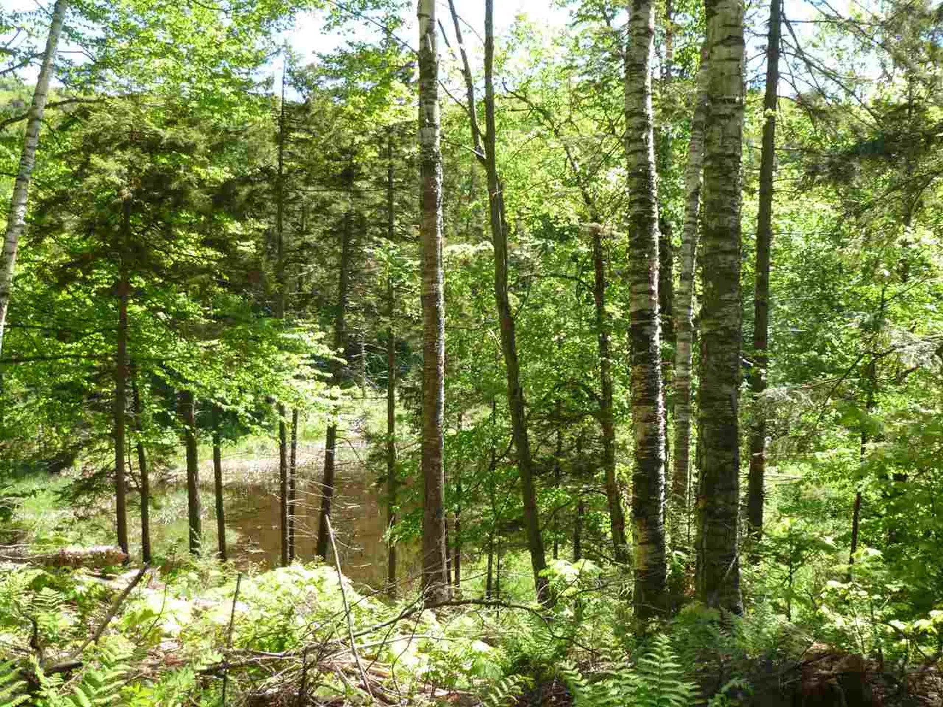 00 Two Ponds Road Warren VT 05674