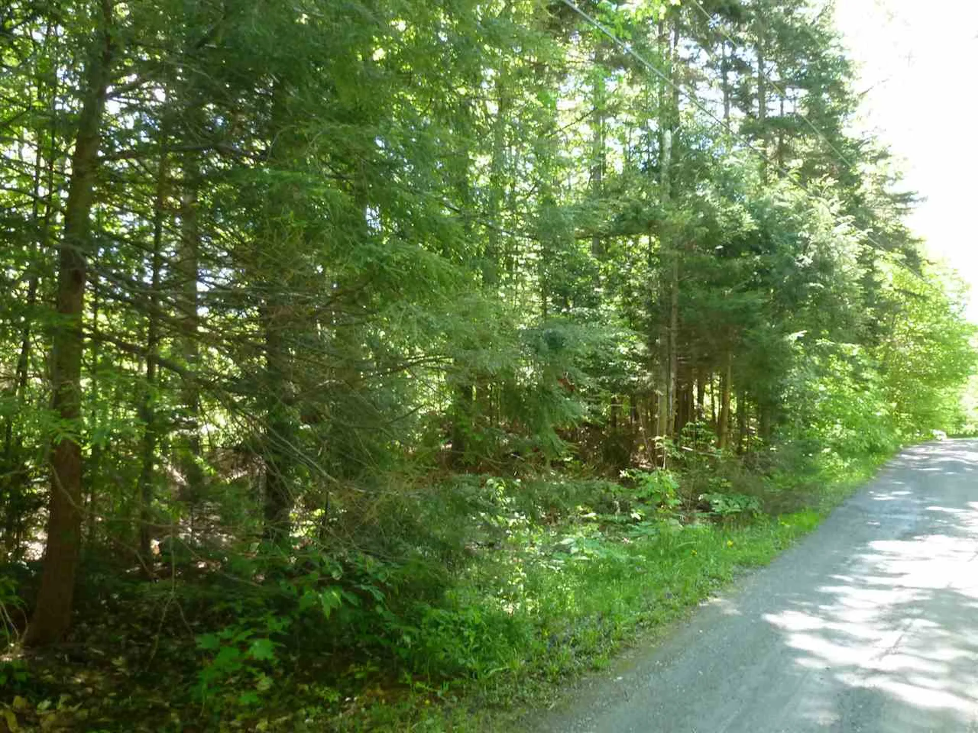 00 Two Ponds Road Warren VT 05674