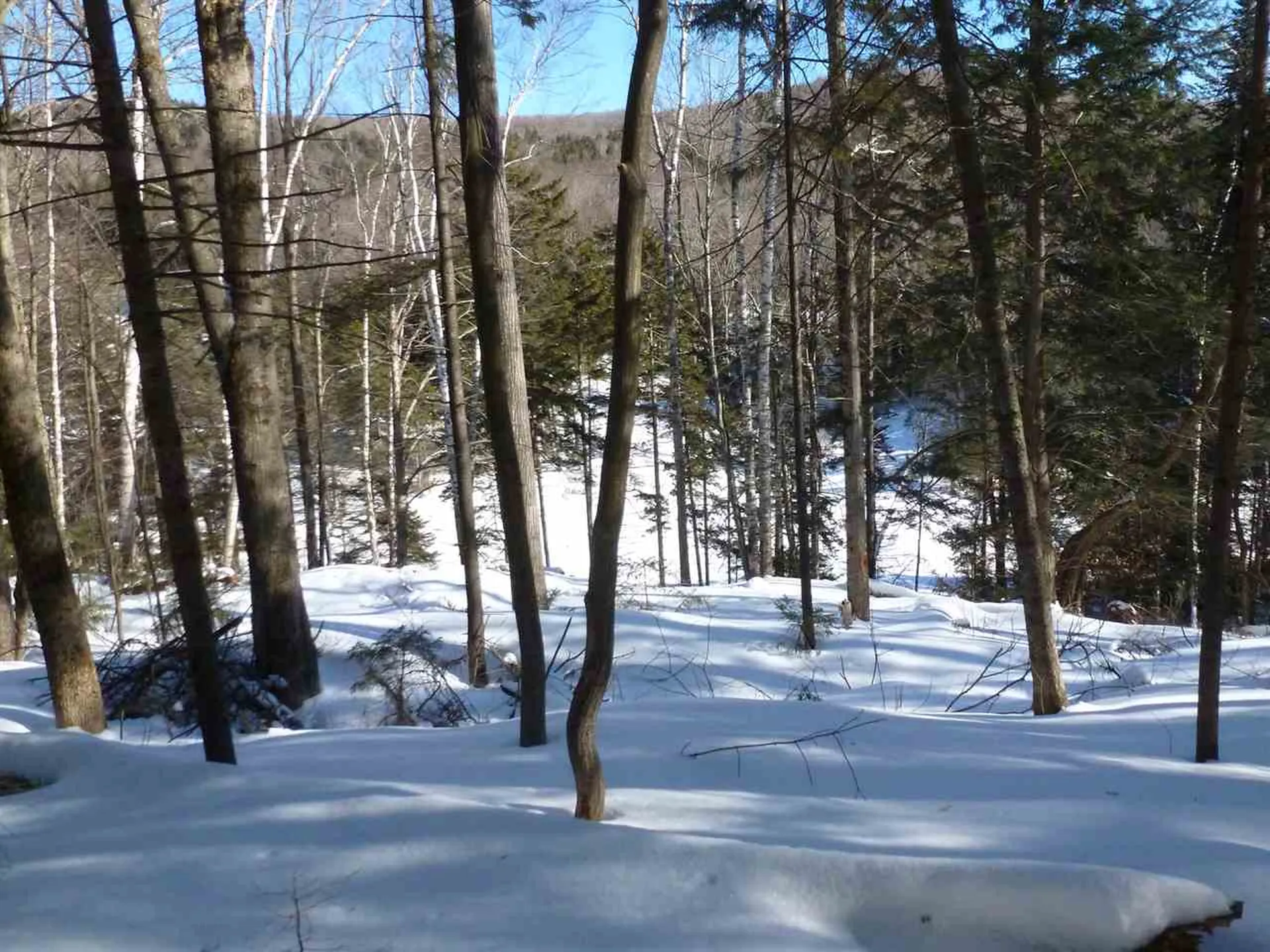 00 Two Ponds Road Warren VT 05674
