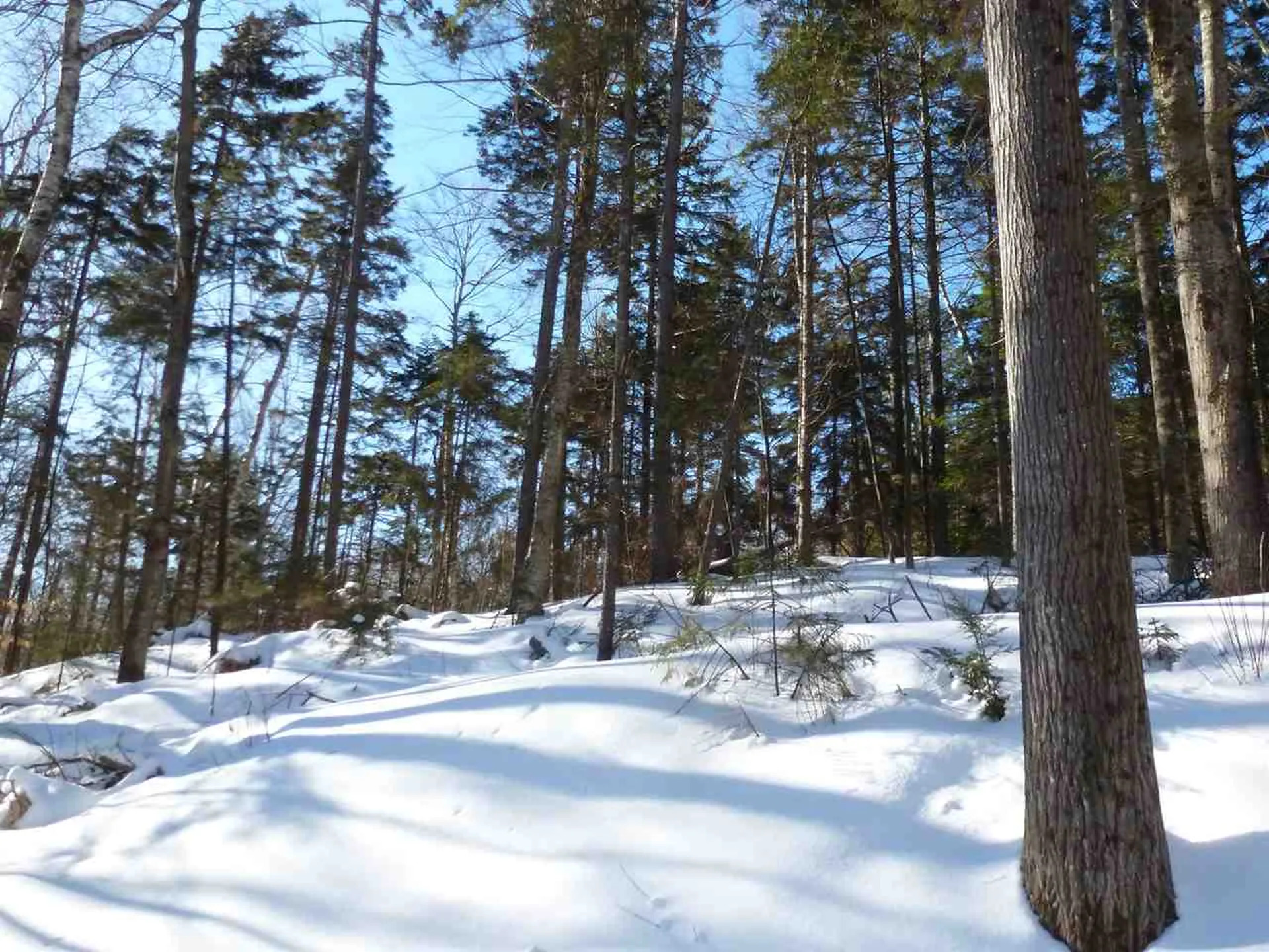 00 Two Ponds Road Warren VT 05674