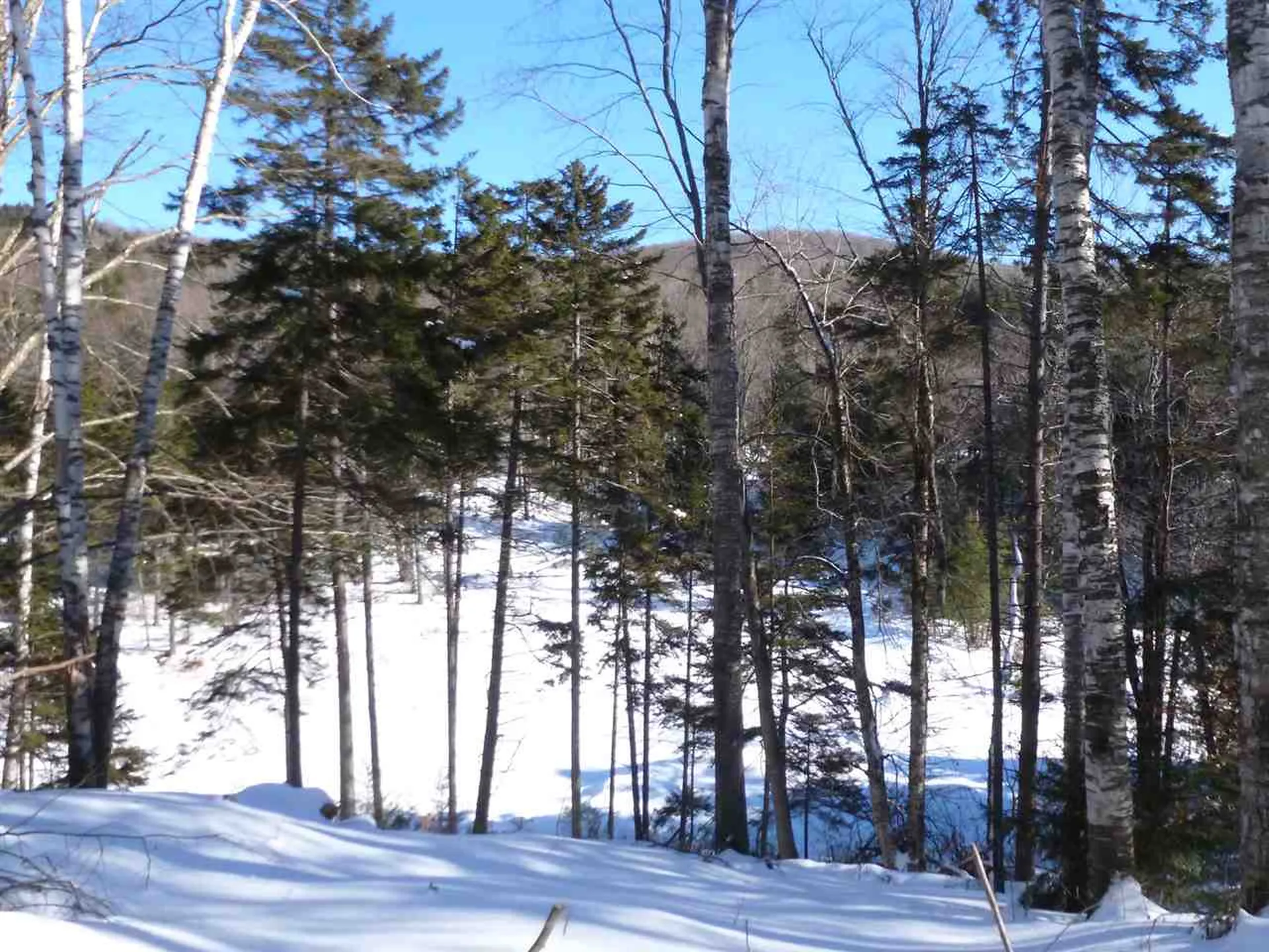 00 Two Ponds Road Warren VT 05674