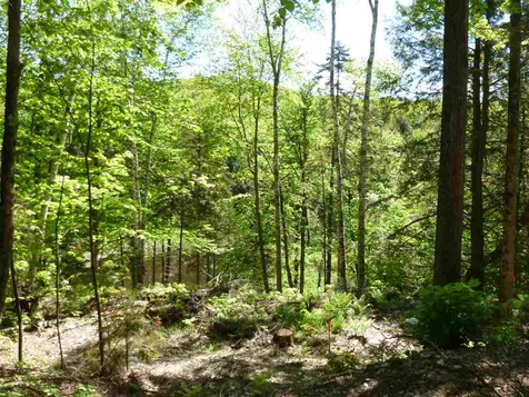 00 Two Ponds Road Warren VT 05674