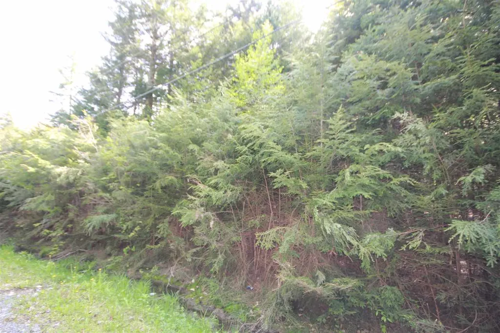 37 Sunne Village Lane Dover VT 05356